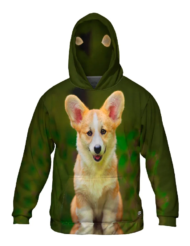 Pembroke Welsh Corgi Dog Trendy Men's Bucket