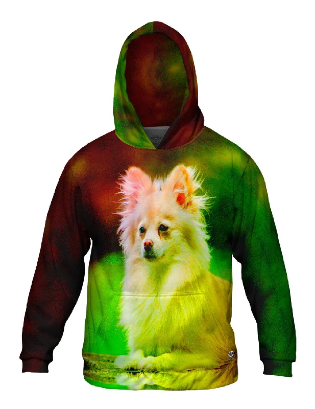 Pomeranian Puppy Hip Men's Urban