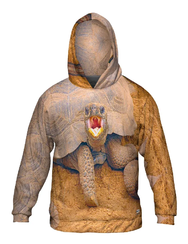Wrong Side Of The Shell Baby Tortoise Dapper Men's Bow