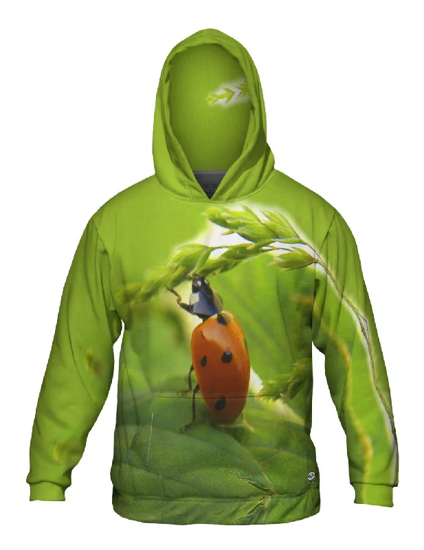 Pull Ups Ladybug British Gentleman Style