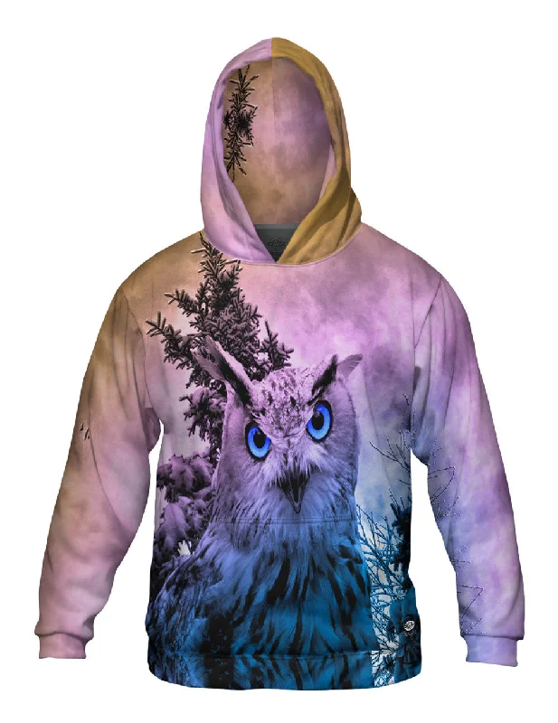 Snow Blue Owl Street