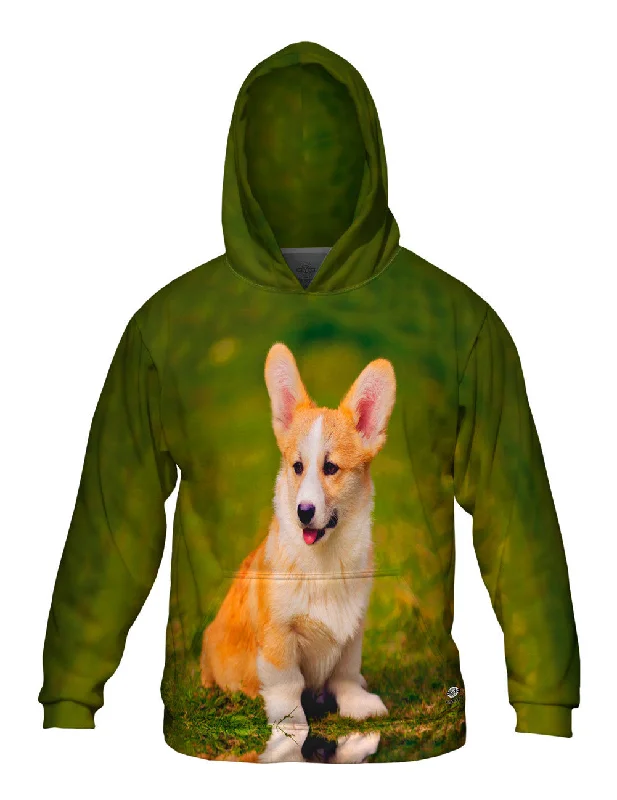 Pembroke Welsh Corgi Puppy Casual Men's Short