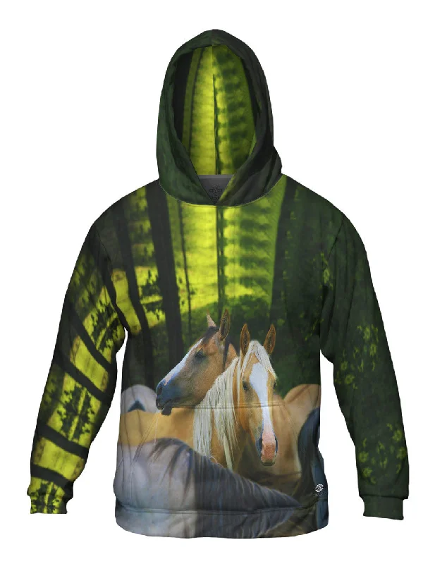 Horse Herd Youthful Men's Anime
