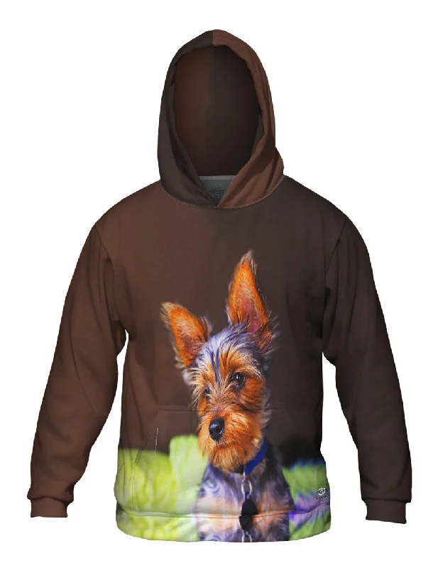 Yorkie In Deep Thought Masculine Men's Thick