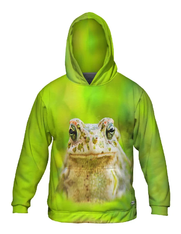 Lovely Frog Adventure