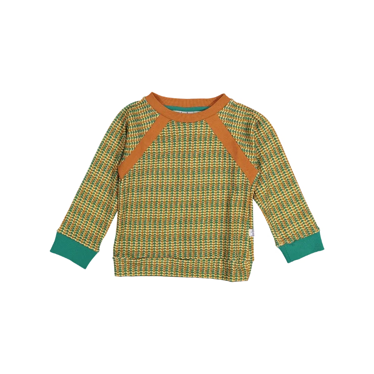 SWEATER-Ribana/ Green Sporty Men's Athleisure 
