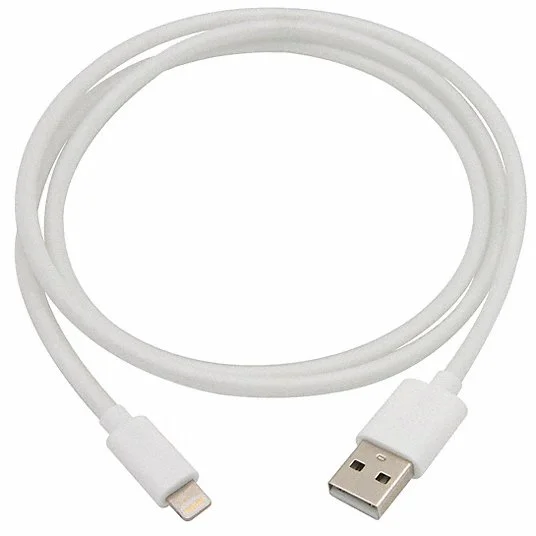 iPhone Charger - USB to Lightning Youthful Men's Anime